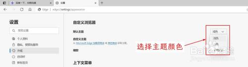 edge浏览器背景颜色设置 Microsoft Edge如何自定义浏览器颜色主题