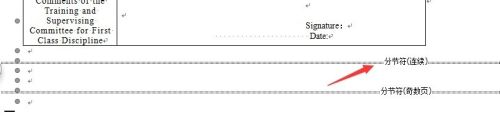 分节符(下一页)怎么删除