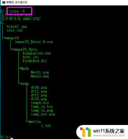 win10 文件夹显示分类