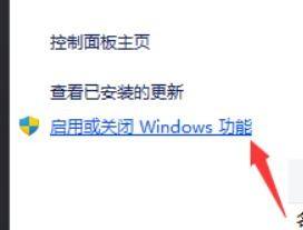 win11开telnet指令 Win11开启Telnet客户端步骤