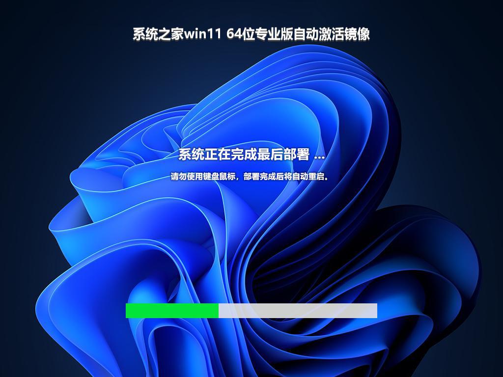 系统之家win11 64位专业版自动激活镜像